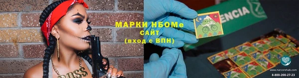 стаф Елабуга