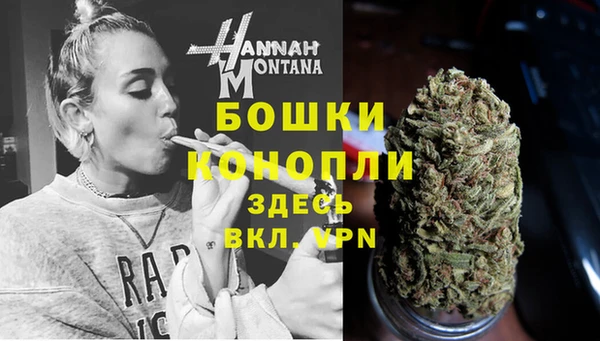 винт Гусиноозёрск