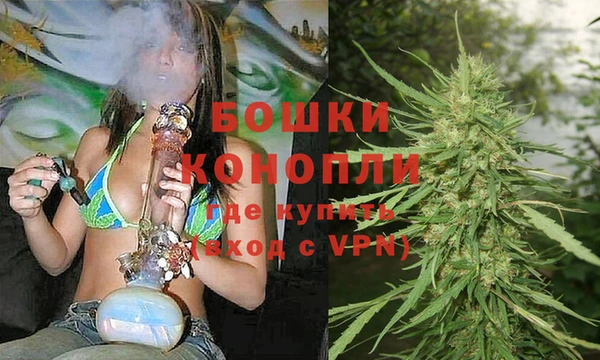 стаф Елабуга