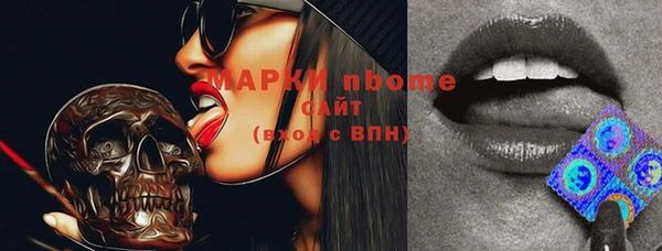стаф Елабуга