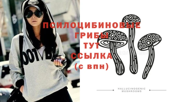 стаф Елабуга
